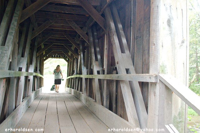 Crossing the Bridge 2017 09 13 (3) msn